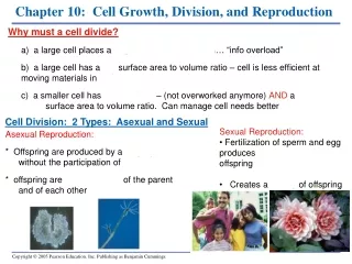Chapter 10:  Cell Growth, Division, and Reproduction