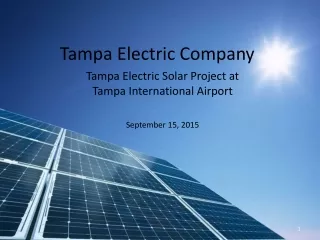 Tampa Electric Company