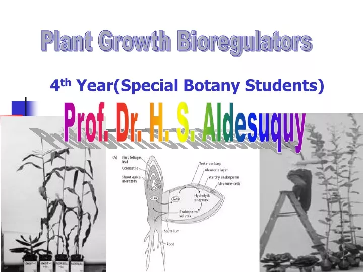 plant growth bioregulators