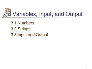 Variables, Input, and Output