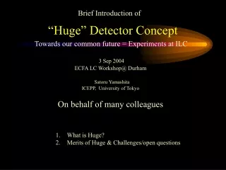 “Huge” Detector Concept