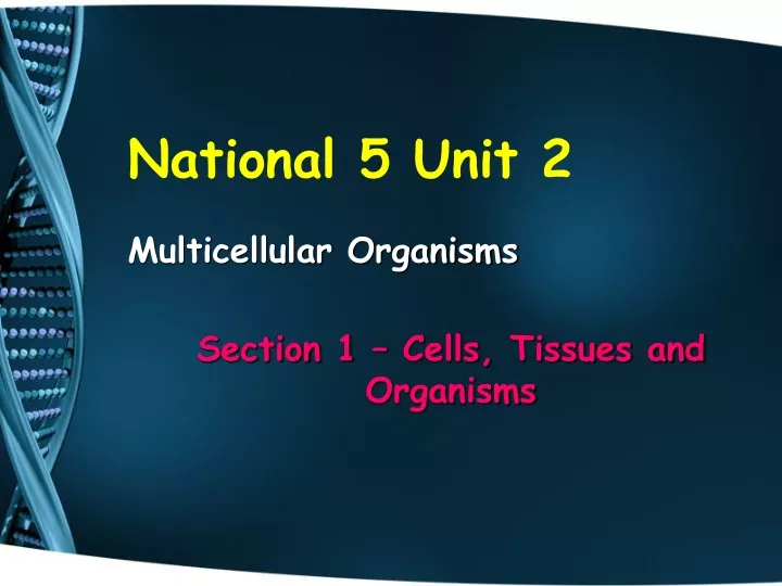 national 5 unit 2