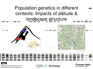 Population genetics in different contexts: Impacts of altitude &amp; landscape structure