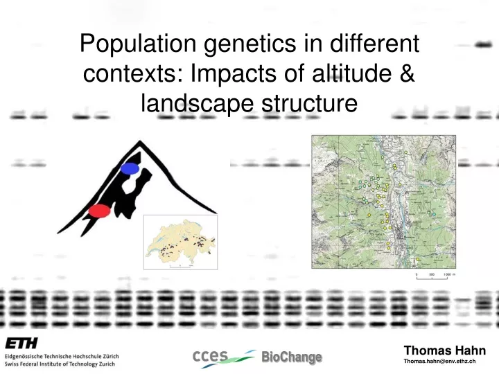population genetics in different contexts impacts of altitude landscape structure