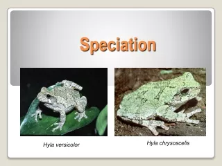 Speciation