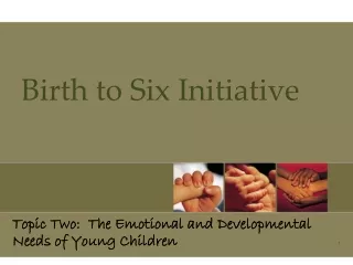 Birth to Six Initiative
