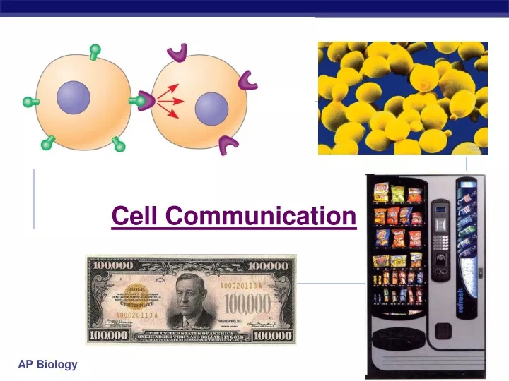 cell communication