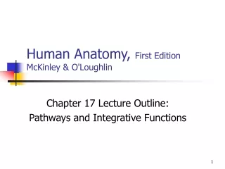 Human Anatomy,  First Edition McKinley &amp; O'Loughlin