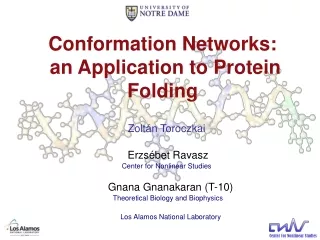 Conformation Networks:  an Application to Protein Folding