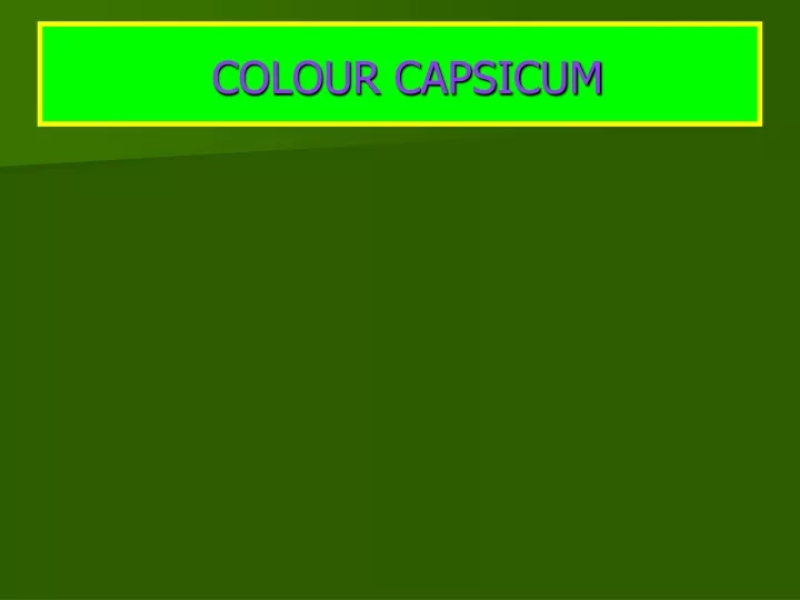 colour capsicum