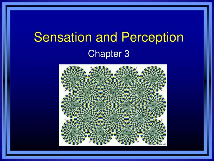 sensation and perception