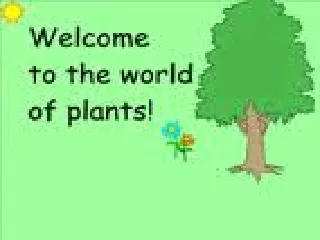 - An Overview of Plants