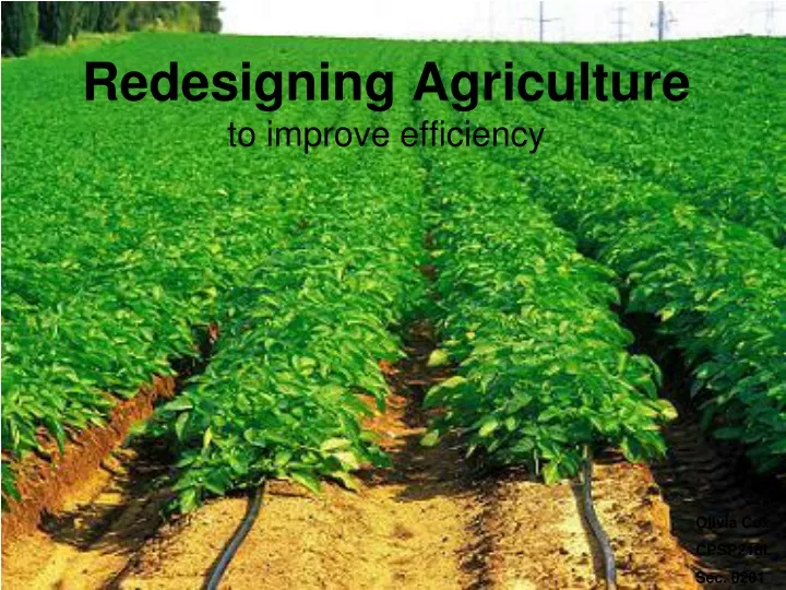 redesigning agriculture to improve efficiency