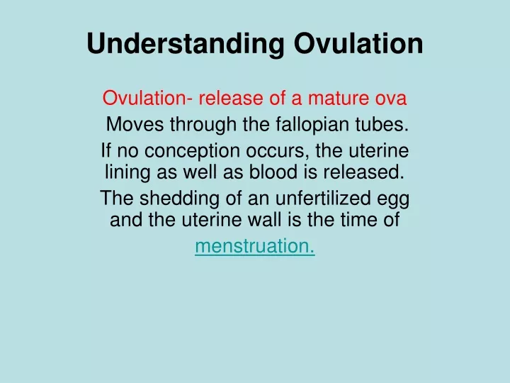 understanding ovulation