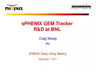 sPHENIX GEM Tracker R&amp;D at BNL