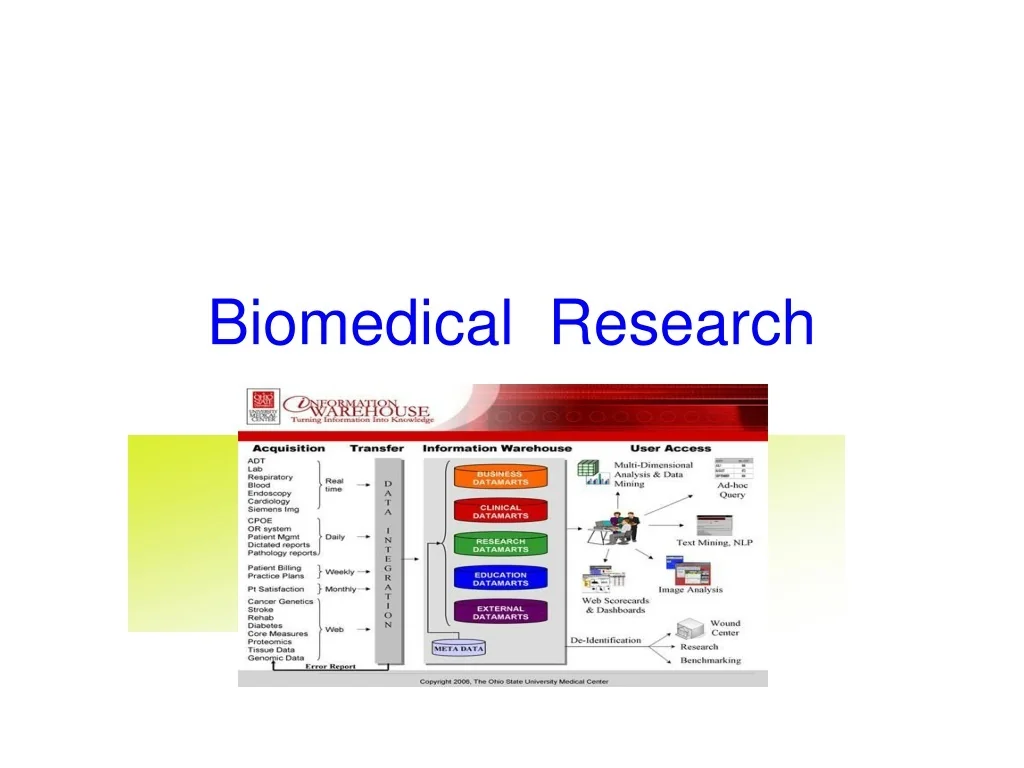 PPT - Biomedical Research PowerPoint Presentation, free download - ID ...