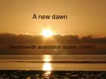 A new dawn