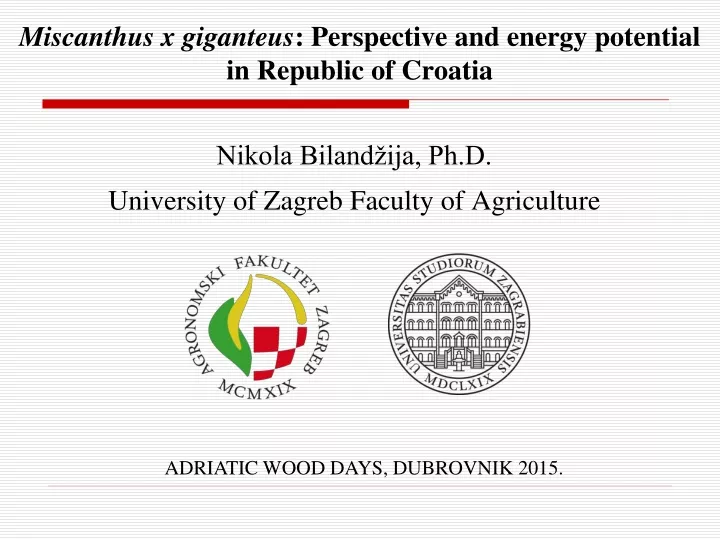miscanthus x giganteus perspective and energy potential in republic of croatia