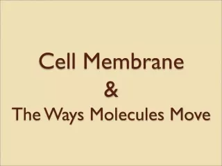 Cell  Membrane &amp; The Ways Molecules Move