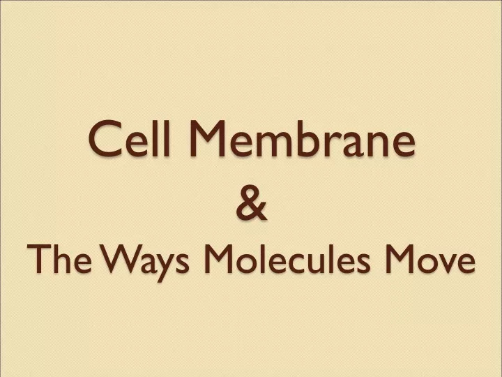 cell membrane the ways molecules move
