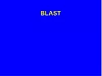 BLAST - slide 1