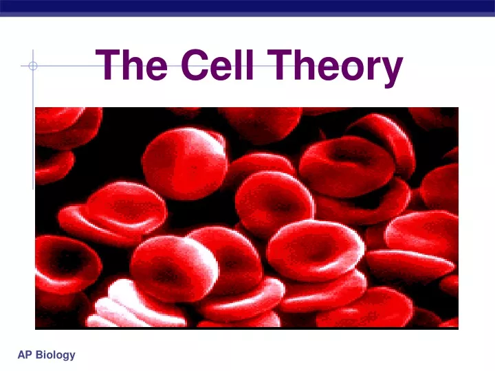 the cell theory