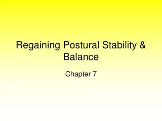 Regaining Postural Stability &amp; Balance