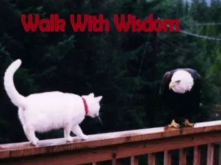 Walk With Wisdom