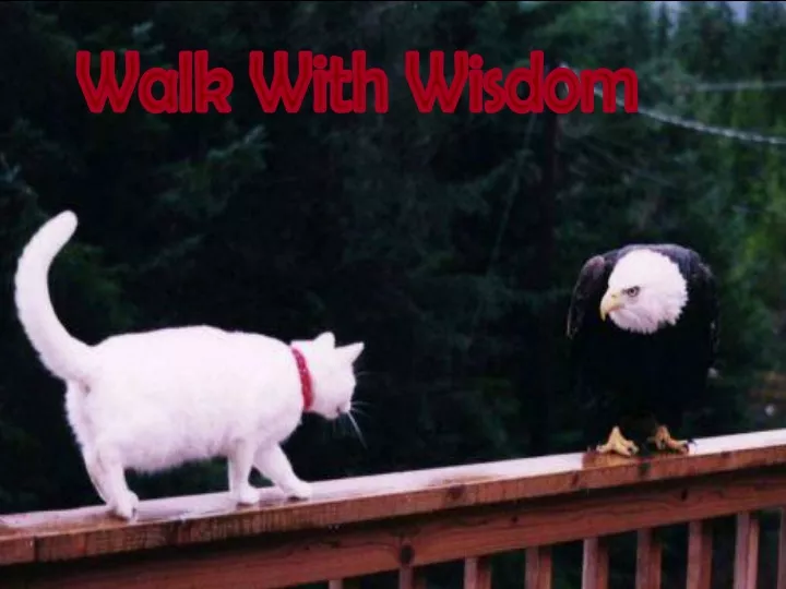 walk with wisdom