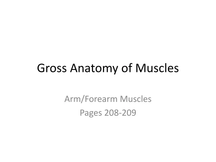 gross anatomy of muscles