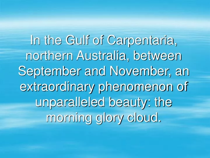in the gulf of carpentaria northern australia