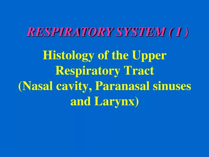 histology of the upper respiratory tract nasal cavity paranasal sinuses and larynx