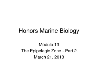 Honors Marine Biology