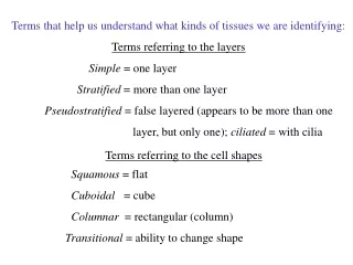Terms that help us understand what kinds of tissues we are identifying: