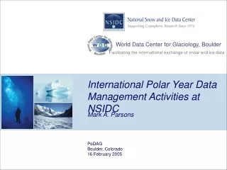 International Polar Year Data Management Activities at NSIDC