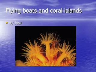 Flying boats and coral islands