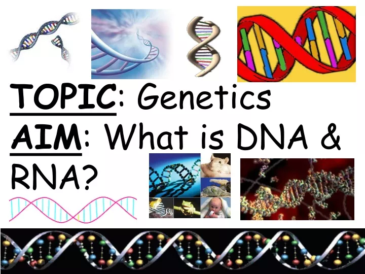 topic genetics aim what is dna rna