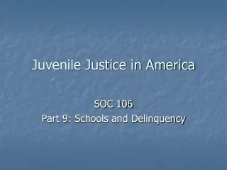 Juvenile Justice in America