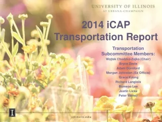 2014 iCAP Transportation Report