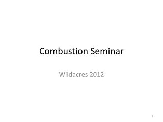 Combustion Seminar