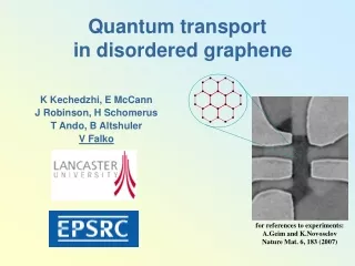 Quantum transport   in disordered graphene