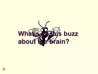 What’s all this buzz about the brain?