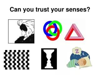 Can you trust your senses?