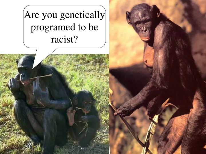 are you genetically programed to be racist