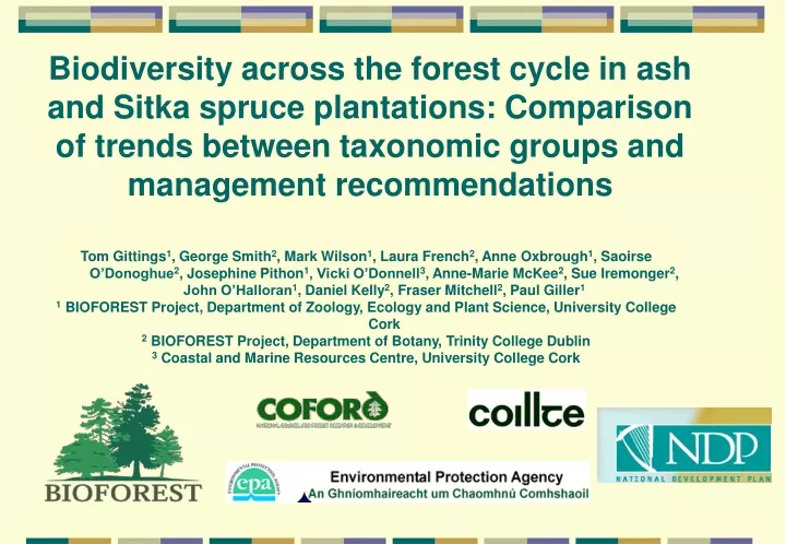 biodiversity across the forest cycle