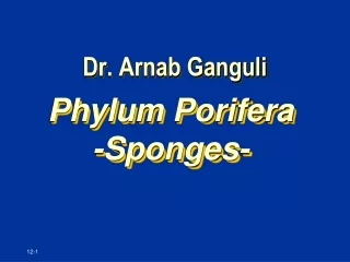 Dr. Arnab Ganguli
