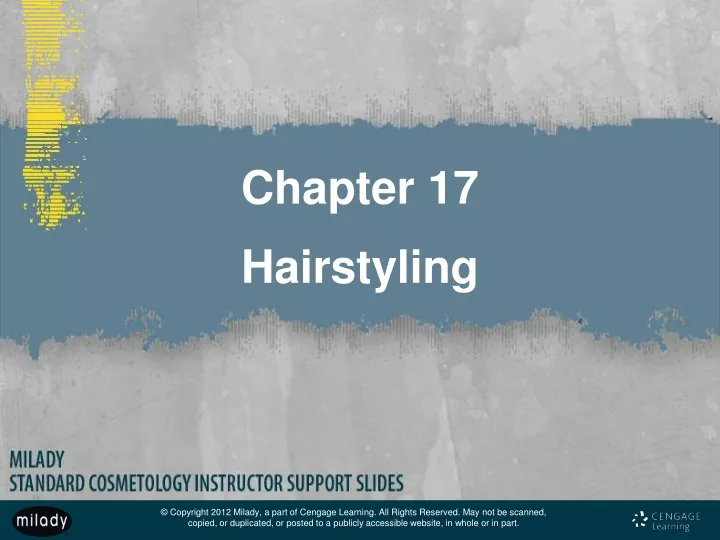 chapter 17 hairstyling