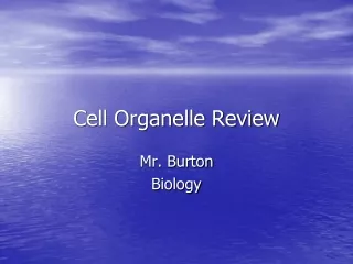 Cell Organelle Review