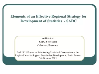 Elements of an Effective Regional Strategy for Development of Statistics  - SADC