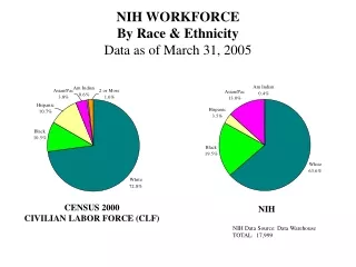 NIH WORKFORCE By Race &amp; Ethnicity Data as of March 31, 2005